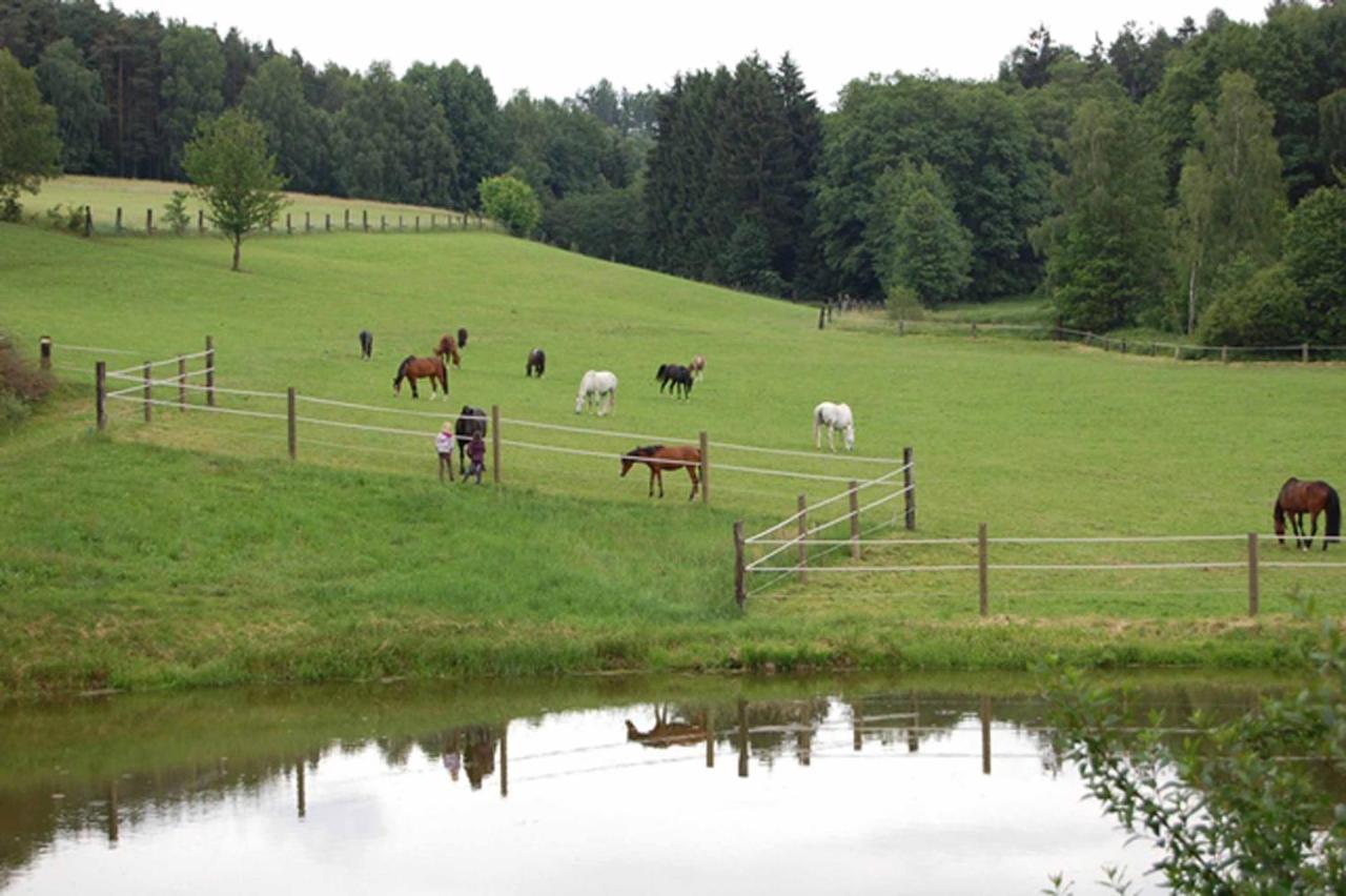 Pensjonat Kollerhof Neunburg vorm Wald Zewnętrze zdjęcie